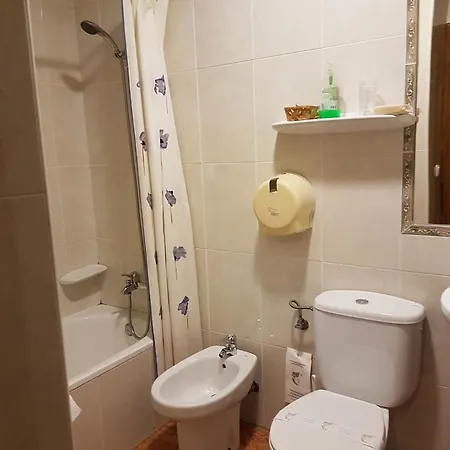 Hotel Los Nogales Cangas De Narcea